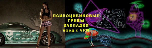 прущие грибы Липки