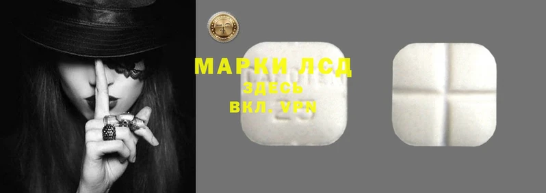 прущие грибы Липки