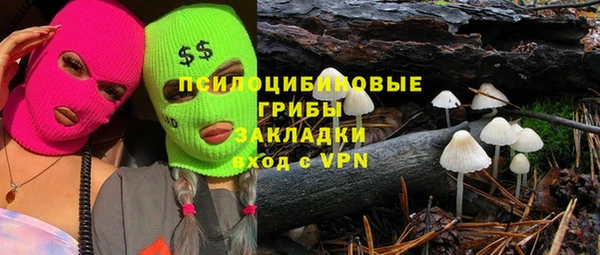 гидра Лихославль