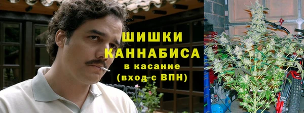 гидра Лихославль