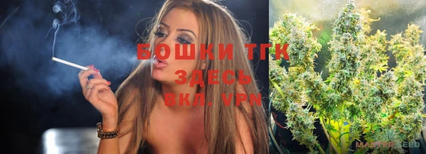 прущие грибы Липки