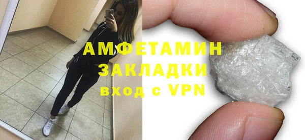 прущие грибы Липки