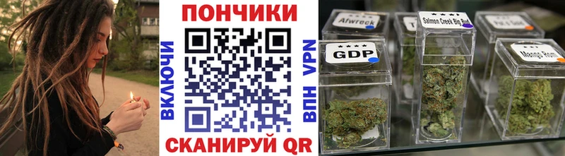 Шишки марихуана гибрид  Купить закладки  Межгорье 